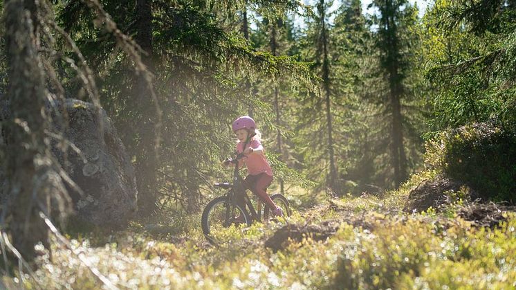 Flera nyheter i Branäs till sommarpremiären: "Ett ordentligt lyft"