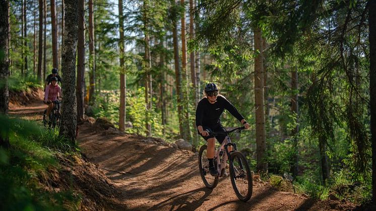 Kungsberget_ny_cykelled.jpg