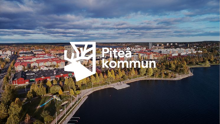 En förnyad ren är en del i den nya varumärkesstrategin för Piteå kommun och platsen Piteå.   Foto: Maria Fäldt