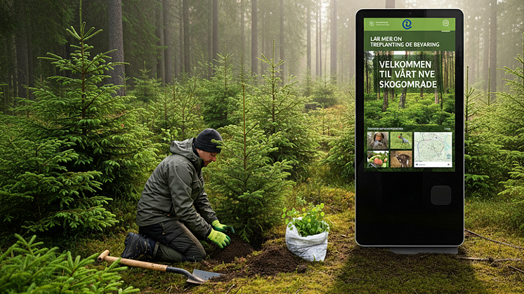 Procon Digital planter klimaskog i Norge
