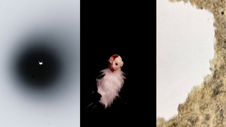 Om motstånd, medvetna val och väntrummet mellan liv och död i tre kandidatutställningar 