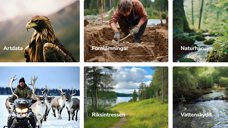 Metria Maps hänsynskartor ger insikt i viktiga aspekter av skogsbruk och naturvård