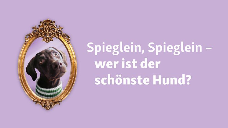 Welthundetag: Fressnapf sucht den schönsten Hund Deutschlands 2024  