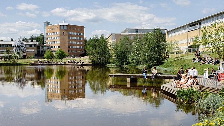 Minskat söktryck till höstens utbildningar på Umeå universitet 