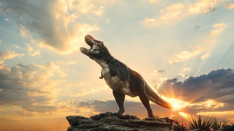 Den nya filmen T-rex har premiär på Cosmonova den 15 februari.