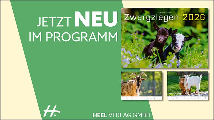 Zwergziegen 2026