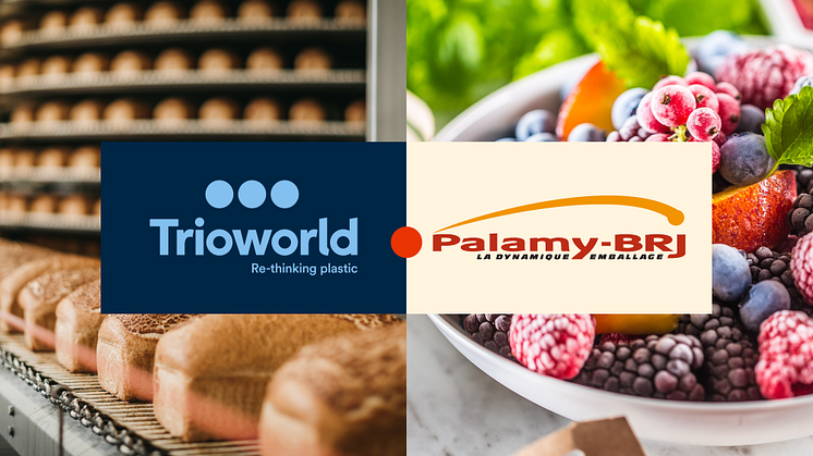 Trioworld erwirbt Palamy-BRJ