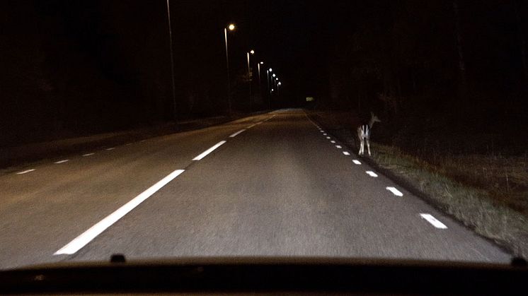 7 av 10 förare upplever att det är svårare att köra i mörker Foto: PMAGI