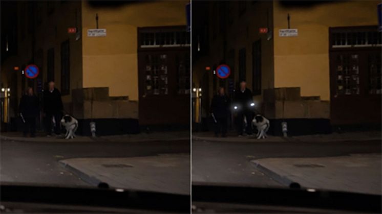 Var tredje gångtrafikant använder inte reflex när det är mörkt  Foto: PMAGI