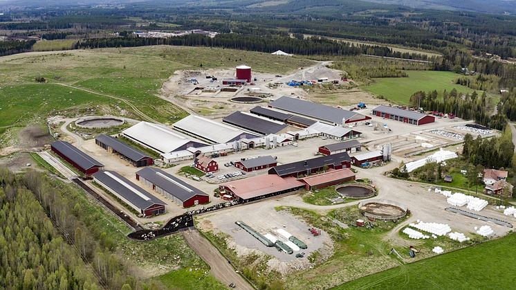 Vallens gård i Ljusdal, ett av Sveriges största lantbruk.