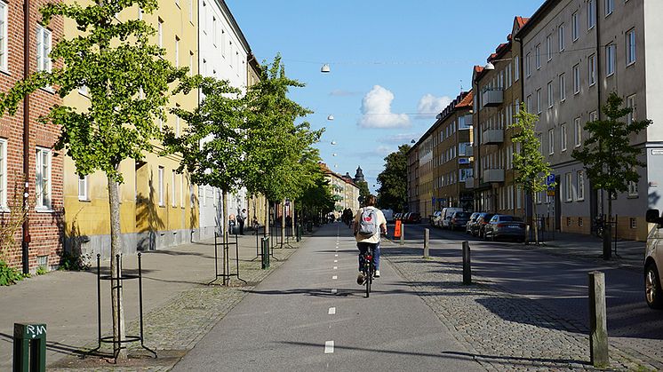 Så mycket får du betala för studentlyan – ort för ort