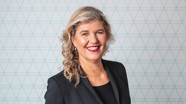 Karin Apelman gs vd