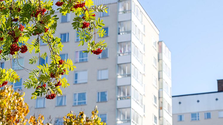 Signalisten tecknar avtal för renovering av två höghus i Bagartorp