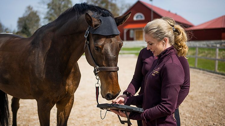 Ägare Laura Hirvinen gick specialistutbildning inom hästkirurgi i USA och arbetade sex år på Specialisthästsjukhuset Strömsholm innan hon startade Sporthästkliniken Häljeby.