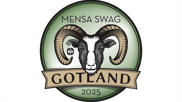 Mensa SWAG Gotland 2025 – Det är värt det!