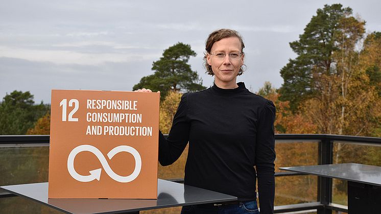 Globala hållbarhetsmålet 12 omfattar att främja hållbara offentliga upphandlingsmetoder. Som medlem i BioDriv Öst kommer Adda att kunna ställa skarpare krav i ramavtalsupphandlingar, säger Marilouise Berg, gruppchef för hållbarhetsteamet.