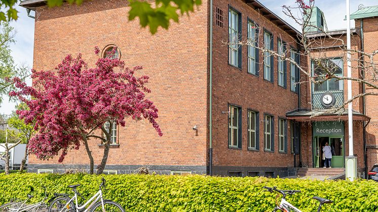 Furulundsskolan i Sölvesborg (Foto: Sölvesborgs kommun)