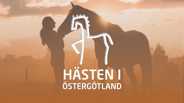 Hästen i Östergötland - Hästägandet förändras, hur förändras vi med det?