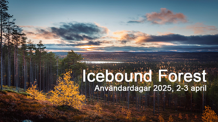 Icebound Forest - Användardagar 2025