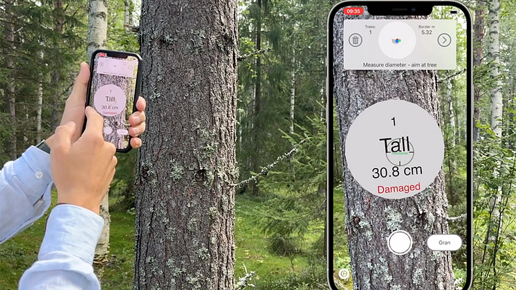 Icebound och Arboreal i samarbete