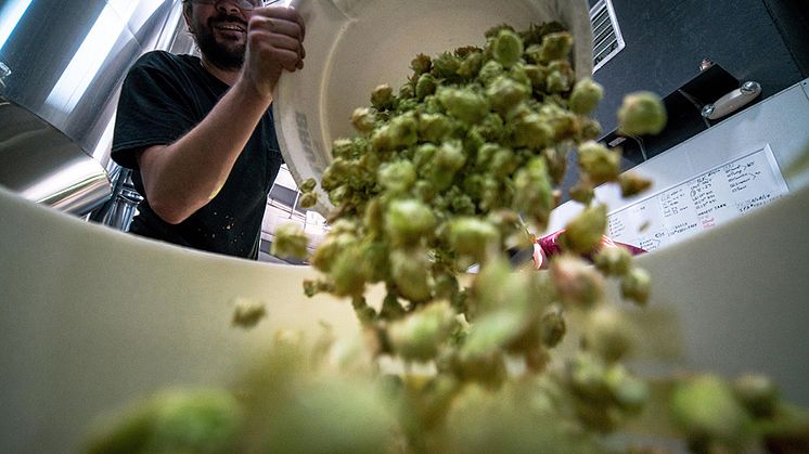 Effektivare åtgärder krävs för att minska matsvinnet i Europa