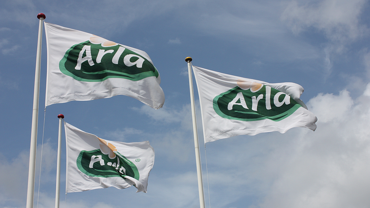 Arla Foods byder på fødevarevirksomhed i Egypten