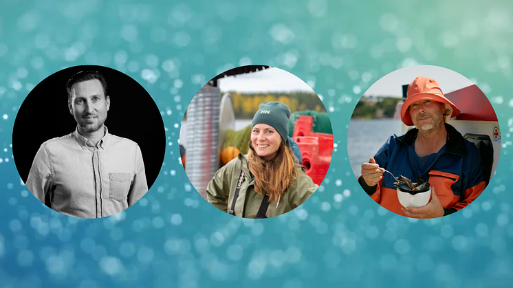 Kristian Ekström – VD Skillingefisk-Impex, Emma Gabrielsson – VD Guldhaven, Janne Bark – grundare Musselfabriken