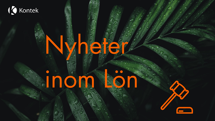 Nya regeringsförslag inom löneområdet