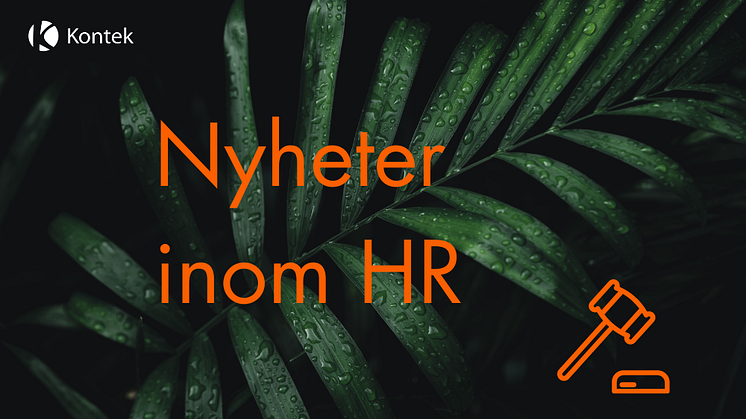 Kontek är ett specialistbolag inom Lön & HR. Med vår expertis och noggranna bevakning av nya lagar och förändringar inom HR-området, är vi glada att kunna dela med oss av några av höstens viktigaste nyheter och insikter.