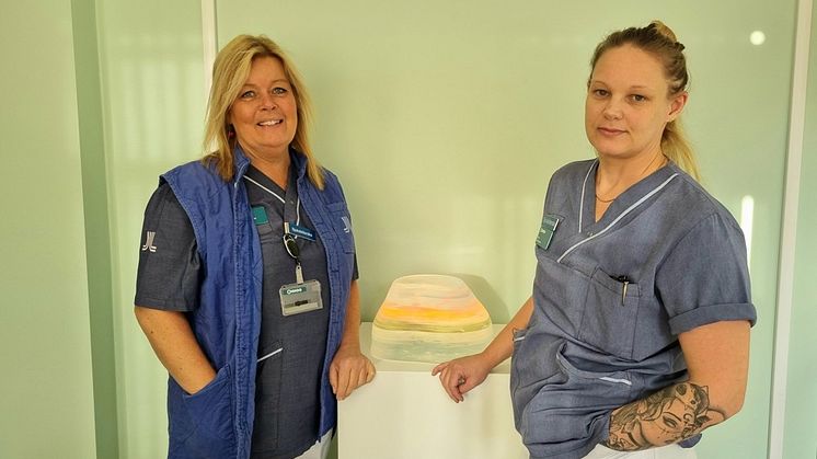 Magdalena Ivarsson, enhetschef på endoskopimottagningen (tv) och Sara Lundkvist, sjuksköterska på endoskopimottagningen, vill gärna dela med sig av sin kunskap.