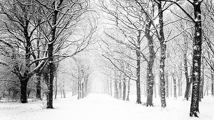 Im Winter ist eine private Unfallversicherung besonders wichtig. Foto: Brian Jones/unsplash.com