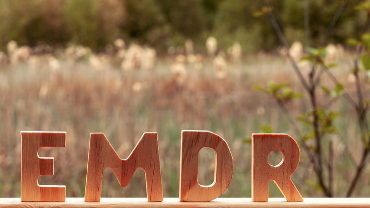 EMDR.jpg