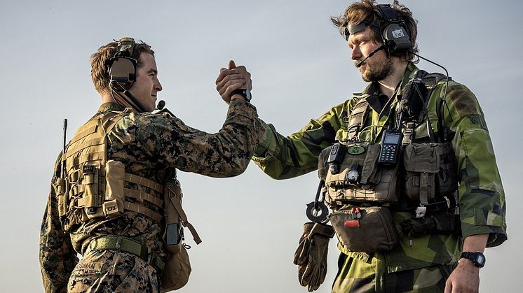 Photo: Antonia Sehlstedt/Swedish Armed Forces