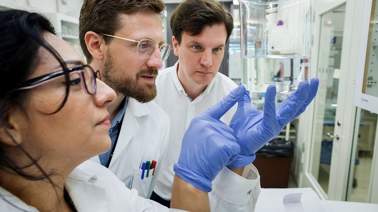 På Karlsson lab vid Stockholms universitet forskas det bland annat om hur gifter i miljön kan ärvas i generationer. Foto: Jens Olof Lasthein