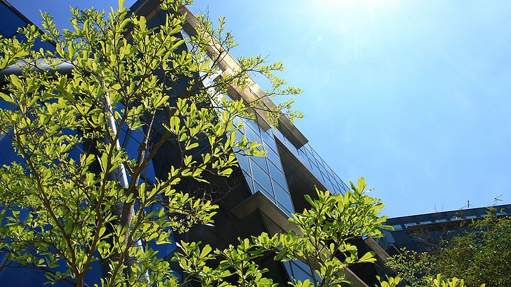 Effektivare klimatarbete i byggsektorn med ny webb-app