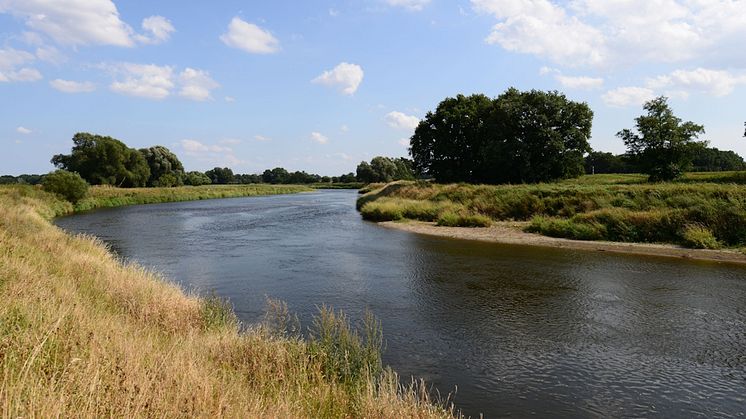 Mulde bei Bad Düben - Foto: Naturpark Dübener Heide 