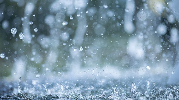 Weltwassertag 2025: Avacon Wasser versorgt 600.000 Menschen in Niedersachsen mit 35 Millionen Kubikmetern Trinkwasser