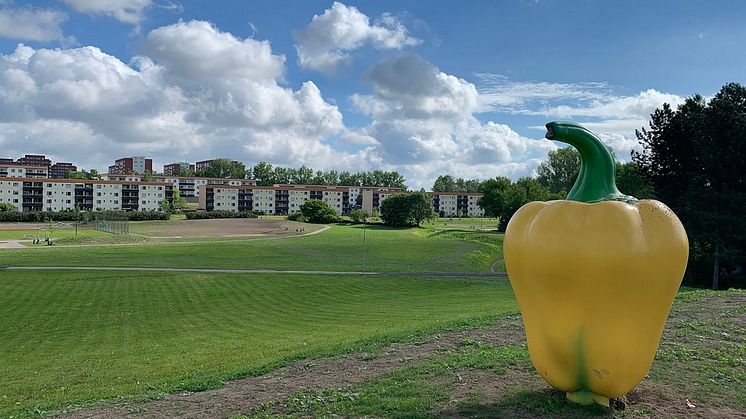 Bjerking klimatanpassar Vilbergsparken i Norrköping