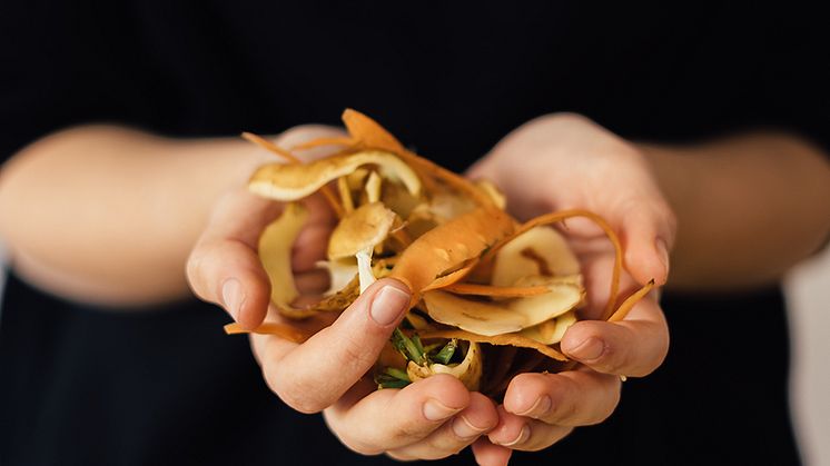 Livsmedelsindustrin utvecklar gemensam vägledning för hållbarhetsrapportering