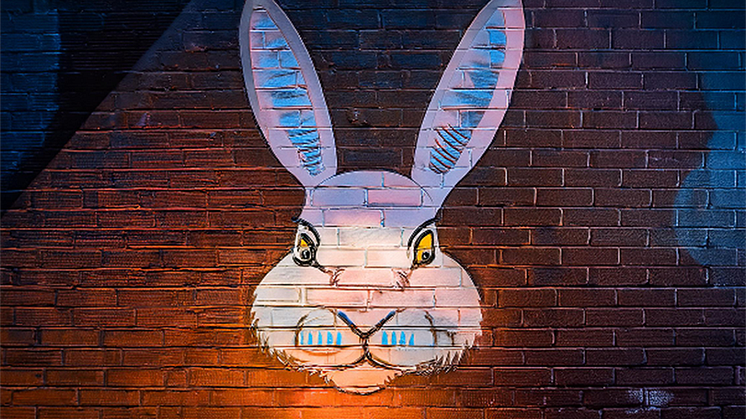 Hungerstenarna_graffittikaninen_webb.png