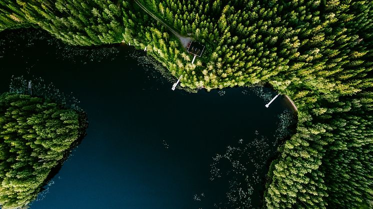 brygga, skärgård, tillsyn, dispens, bygglov, jurist, fd, advokat, Giedre Jirvell, strandskydd, strandskyddsdispens
