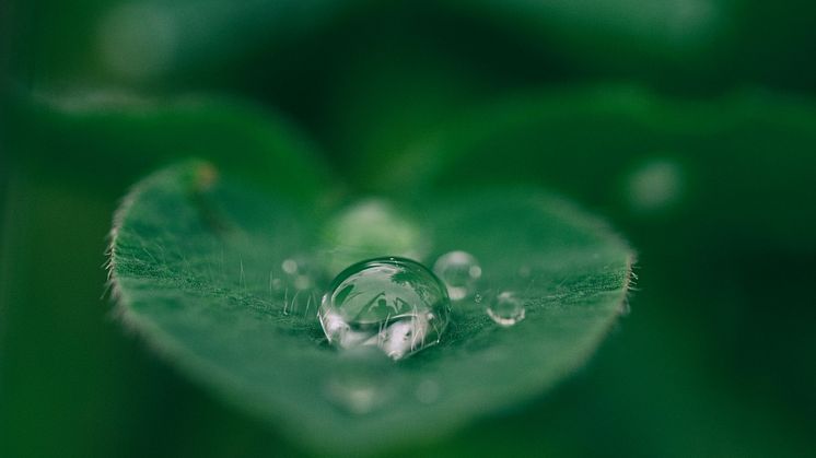 Foto: Aaron Burden, Unsplash