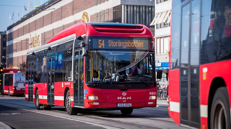 Foto: Gustav Kaiser/SL