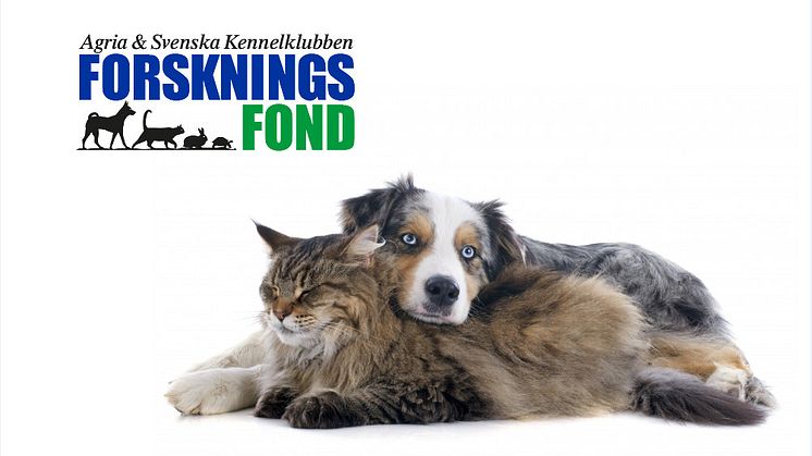 Forskningsfonden ny bild.jpg