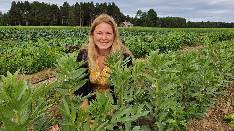 Ulrika Hedberg Foto Ulrika Hedberg