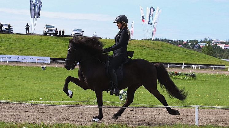 Ragnhildur Haraldsdóttir