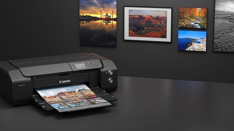 Canon imagePROGRAF PRO-310 AMBIENT 09.jpg