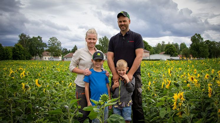 Solrosor i kampen mot barncancer – en blomstrande insamling som fortsätter att växa
