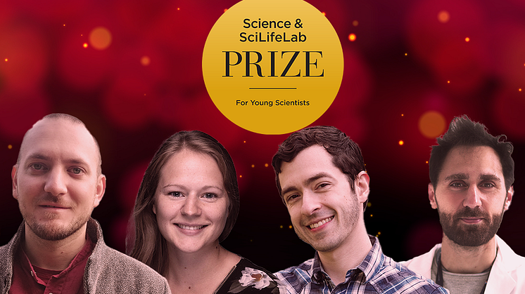 2024 års vinnare av Science & SciLifeLab Prize for Young Scientists