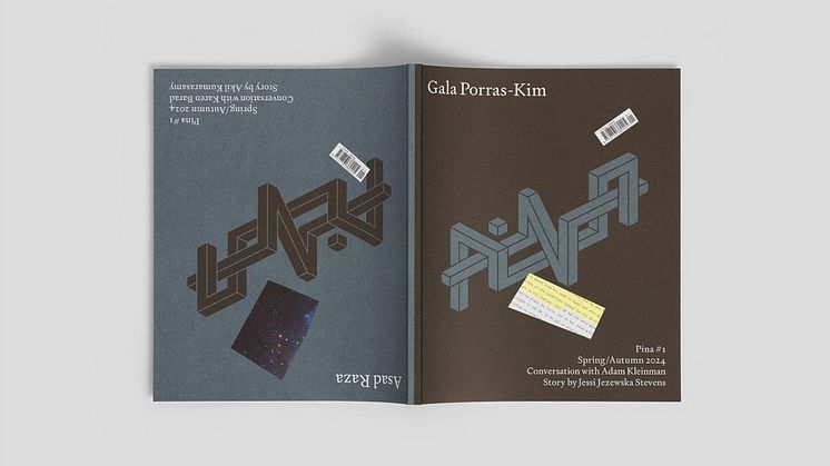 Pina Issue 1 Launch: Ett samtal mellan IASPIS stipendiaten Bitsy Knox och curatorn Adam Kleinman